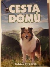 CESTA DOMŮ