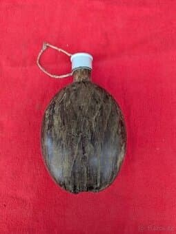 Čutora Afrikakorps 1943