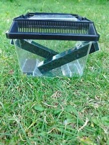 Přepravka na cvrčky