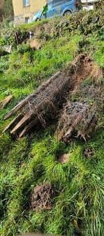 Lesnické uzlové pletivo, ovčí pletivo