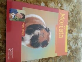 Morčata Angela Becková