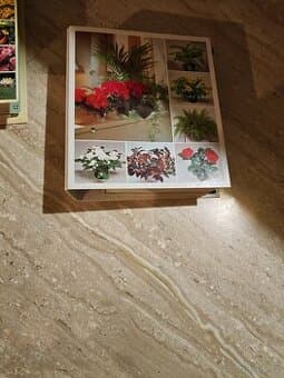 Zahrada pro radost, Pokojové rostliny od A do Z