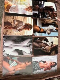 Obrazy, plechové cedule 20x30cm - 31ks