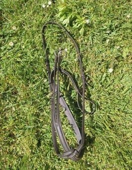 Černý martingal Euroriding