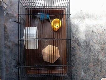 Prodám klec pro křečka a přenosný,box