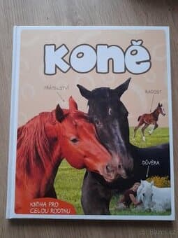 Koné Bookmedia