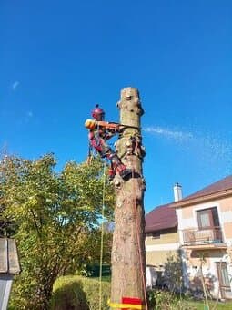 Kácení rizikových stromů,Arboristika