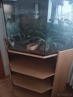Terarium