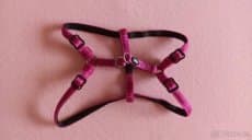 Kšírky na malého pejska XS/S