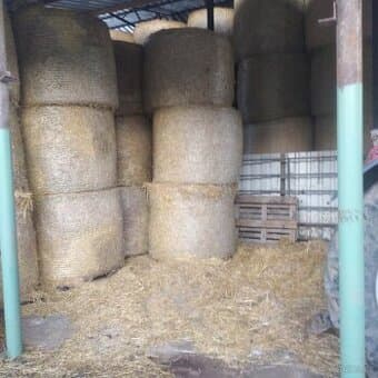 Prodám slámu