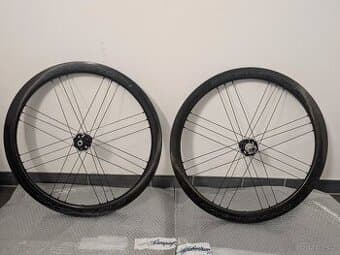 Bora WTO 45 DB Dark 2 Way Fit