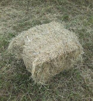 Malý hranatý balíky sena