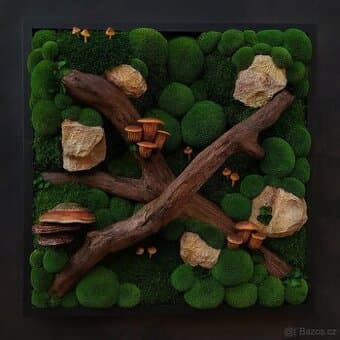 Mechový obraz / obraz ze stabilizovaného mechu