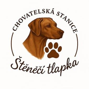 Štěně Rhodéský ridgeback s PP