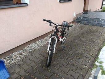 Leader Fox 24” juniorské kolo