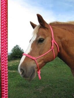 Provazová ohlávka  - neonově růžová