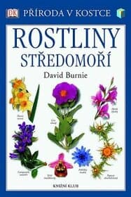 Rostliny středomoří - Středozemí Mediterán Flóra