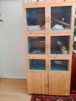 Klec pro osmáky - osmárium