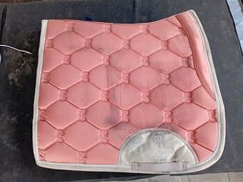 PS of Sweden DR full