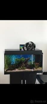 Akvárium Juwel 80
