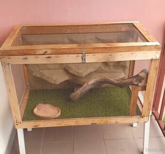 Venkovni terarium pro plazy Agama, Had, Chameleon