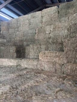 Seno hranaté balíky