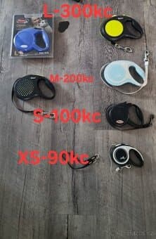 Uklid veci- všeho chuť pro psy