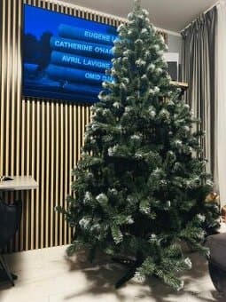 Vánoční stromeček