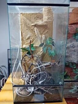 Terarium 2 velikosti