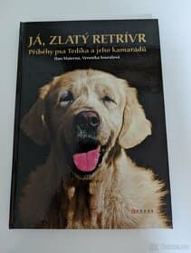 Já, zlatý retrívr, Objevy pod vrstvami času