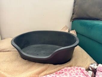 Plastový pelech pro psa