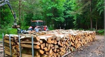 TVRDÉ i MĚKKÉ PALIVOVÉ DŘEVO