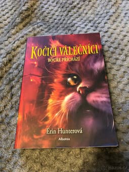 Kočičí válečníci - Bouře přichází