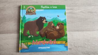 Dětská knížka Medvěd