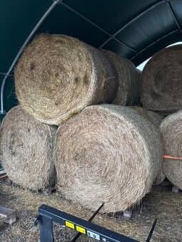 Seno na prodej - baliky