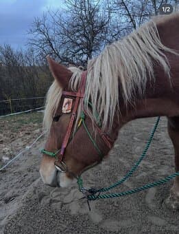 Westernová úzdečka + otěže