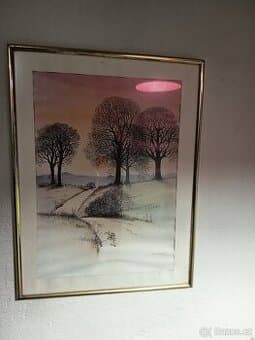 Prodám obraz  bez signatury autor není znam