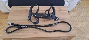 Kožený nastavitelný postroj + vodítko 2m