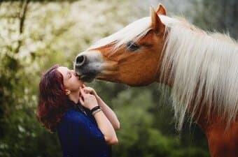 Letní brigáda u koní – hledám výpomoc v Praze a okolí