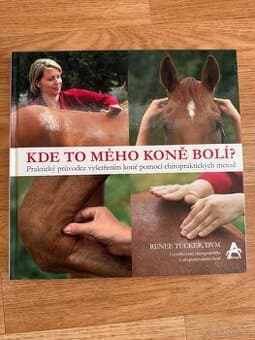 Kde to mého koně bolí