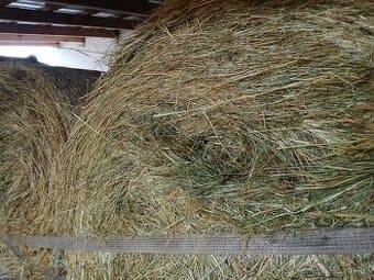 Seno z Vysočiny s dopravou