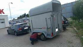 Pronájem přepravníku na jednoho koně