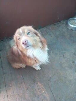 Daruji krásného kluka