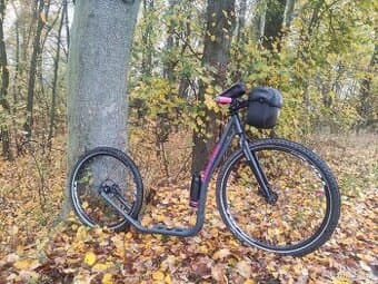 Koloběžka Doxtor F429