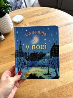 Dětská kniha Co se děje v noci  Svojtka & Co.