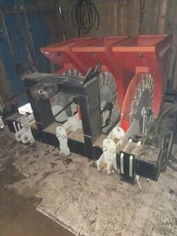 Prodam sazec cesneku