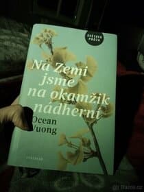 Na zemi jsme na okamžik nádherní -Ocean Vuong