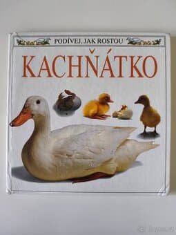 Kachňátko – podívej jak rostou, naučná knížka pro děti