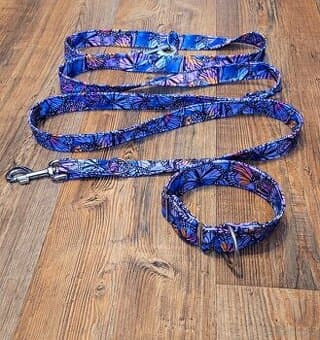 Set obojku a přepínacího vodítka - NOVÉ