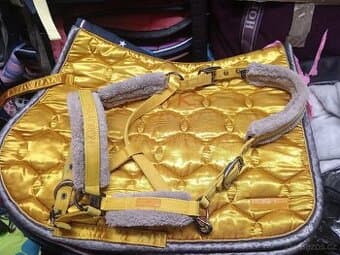 Ohlavka eskadron Vintage gold